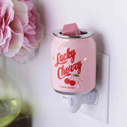 Pluggable Wax melt Warmers