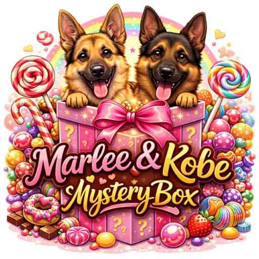 Lucky Dip Boxe Mystery Boxs