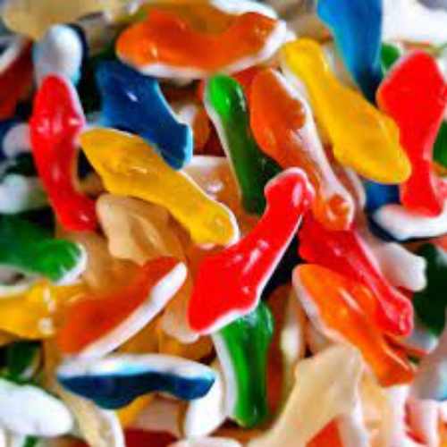 Jelly filled Assorted Sharks 250g