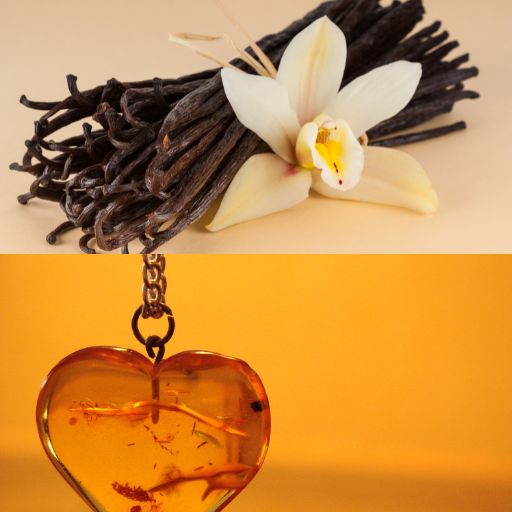 Vanilla Bean & Amber