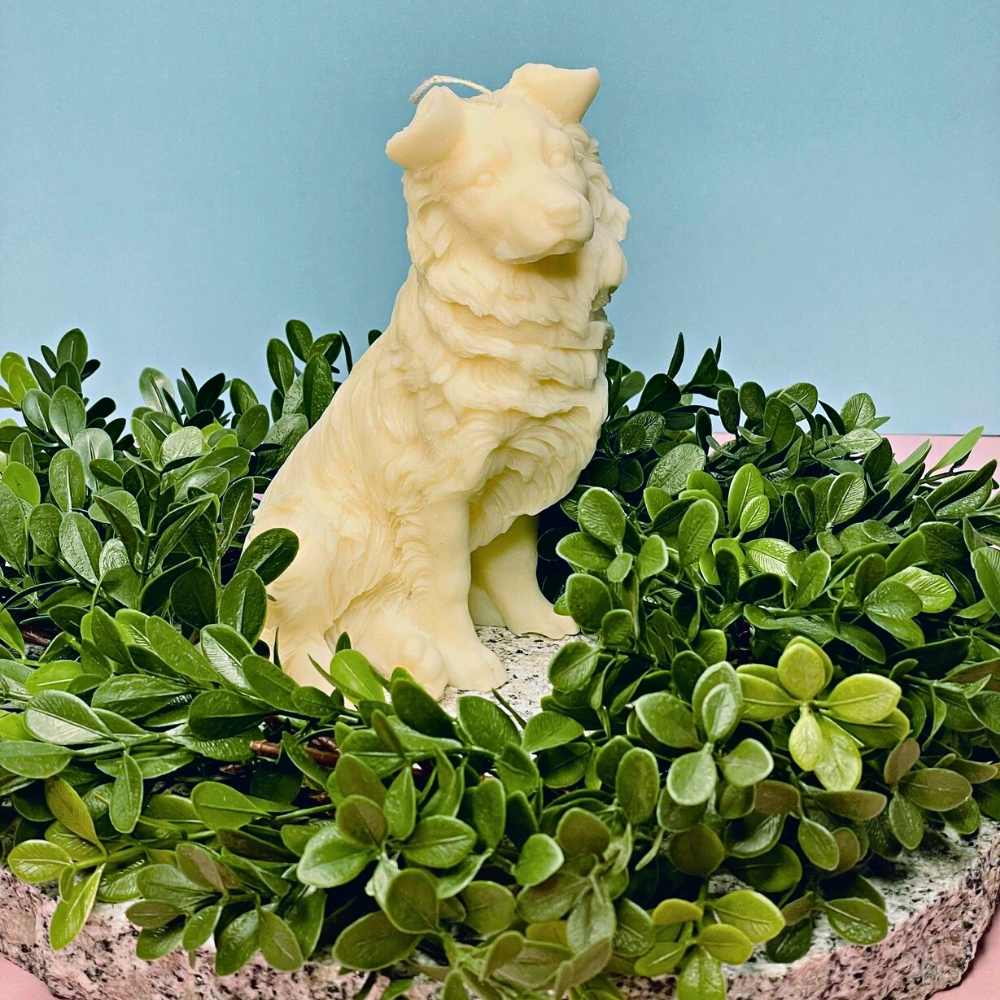 Pillar Candles border collie
