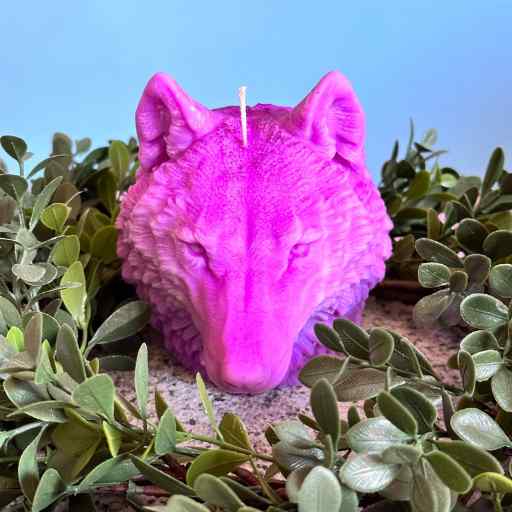 Animal Candles