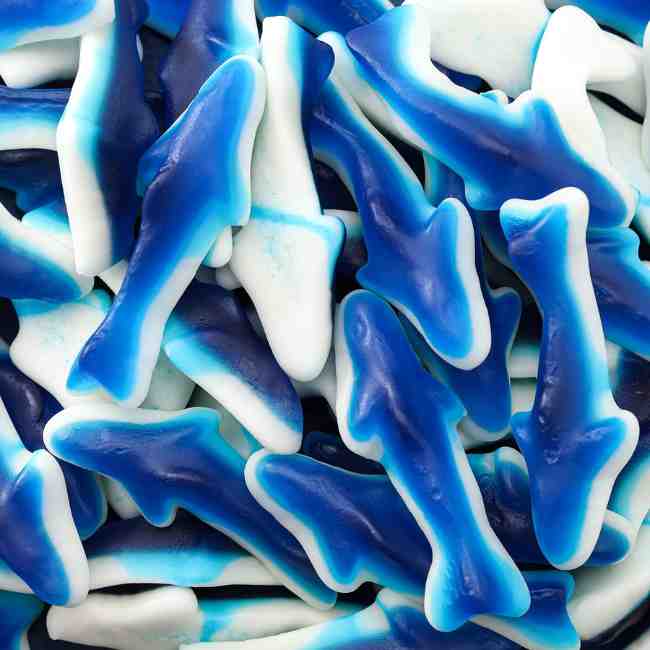 Blue Gummy sharks 500g