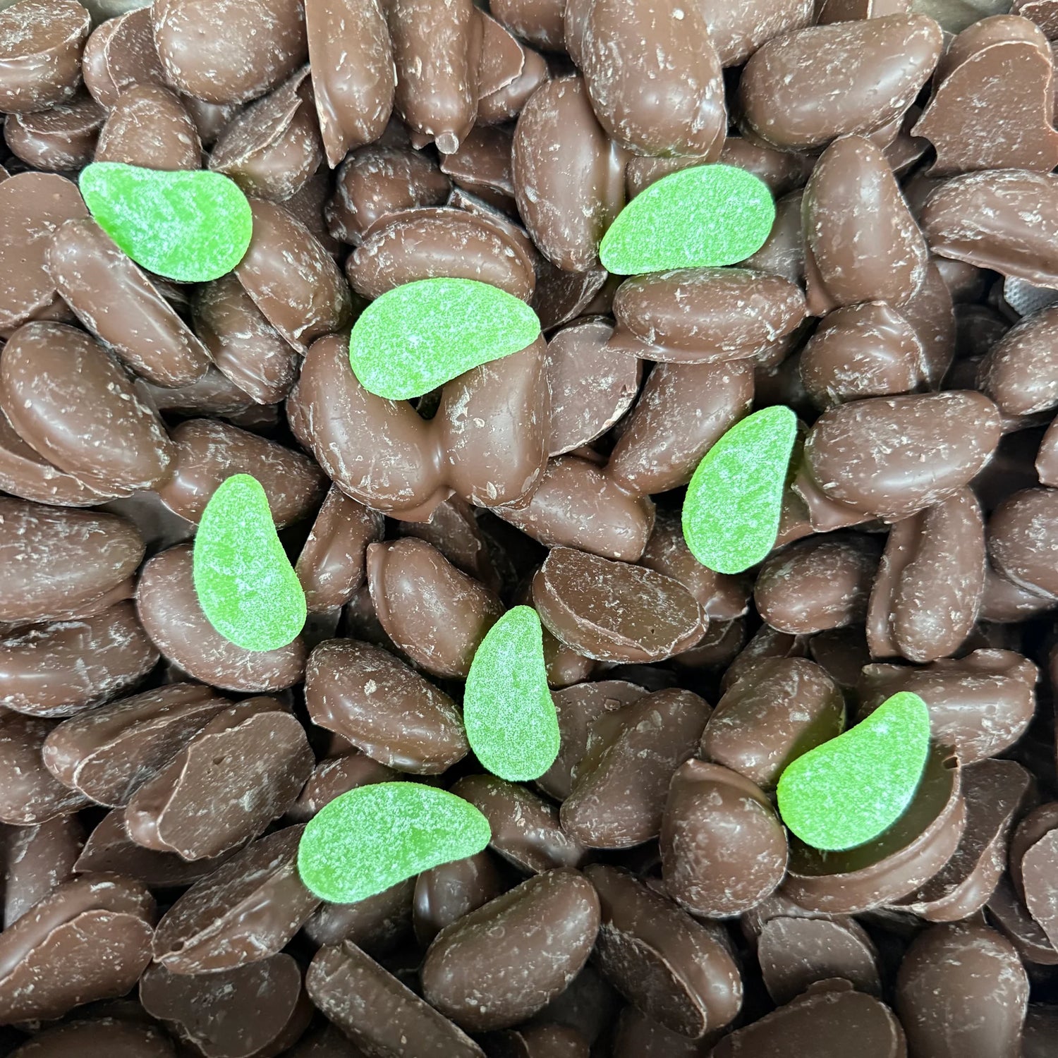 Chocolate mint leaves 500g