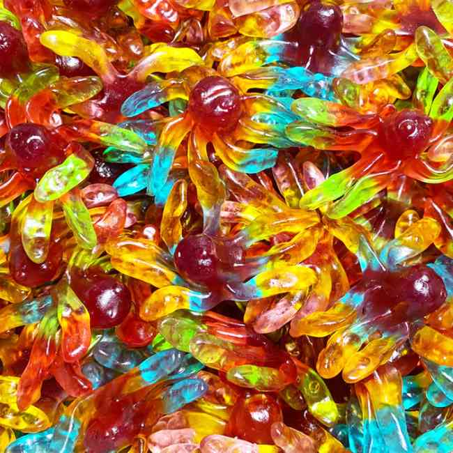 Gummy Octopus 500g