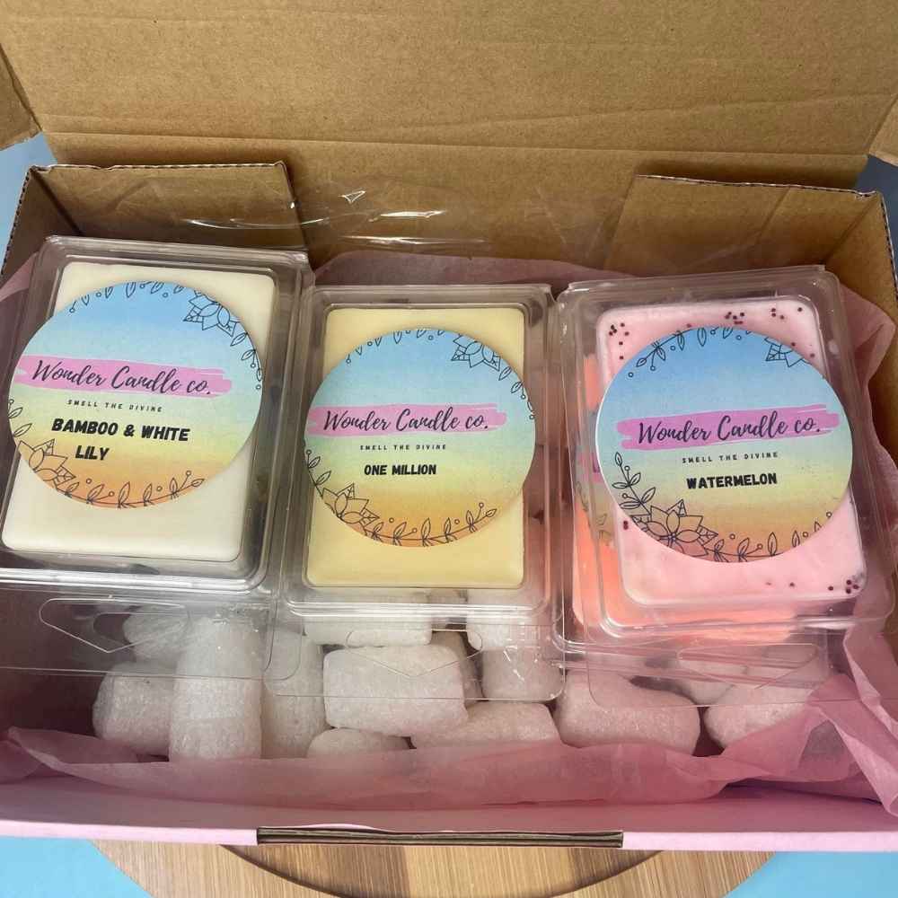 Mystery 6 cavity wax melts